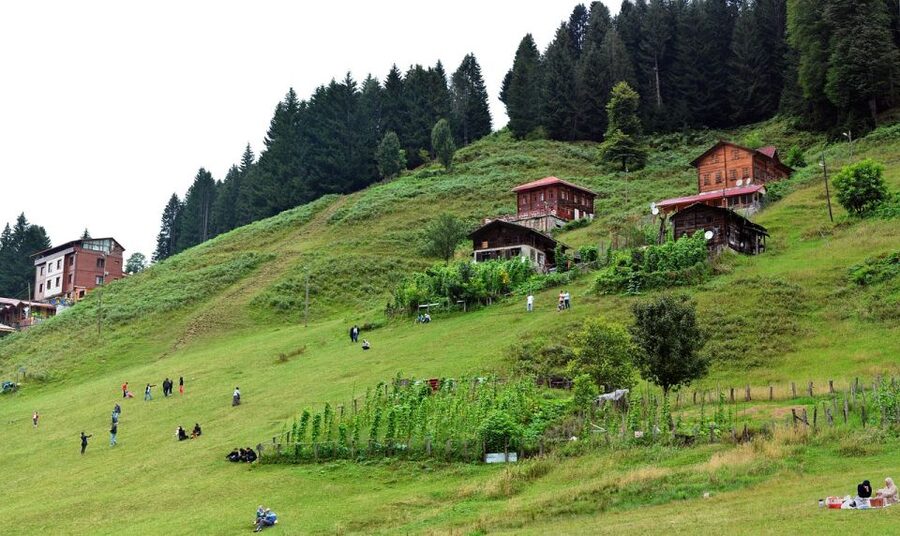 Rize: Ayder Tour & Kaçkar Mountaıns & Fırtına Valley - Rolling through Rize: city life plus storm-valley energy