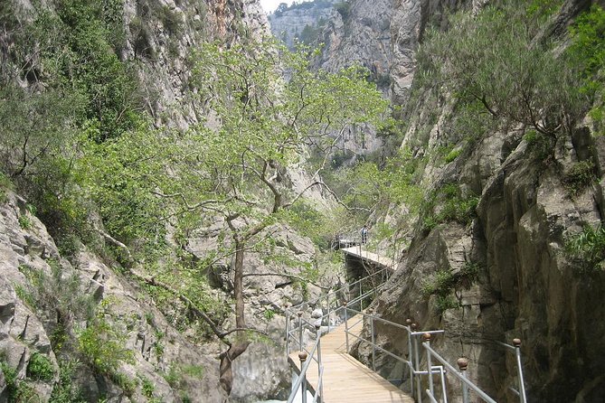 Sapadere Canyon Tour with Waterfalls and Lunch - Water fights, foam surprises, and why the day feels like a show