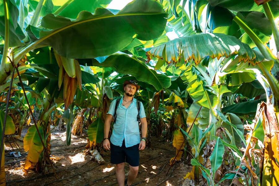 Sapadere Tour with Dimçay Lunch, Cave, Tropical Fruit Garden - Price and Value: What $22 Really Buys