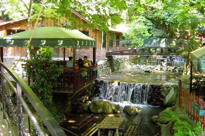 Sapanca Lake and Masukiye Tour - Price and value: What $41.31 gets you, and what it does not