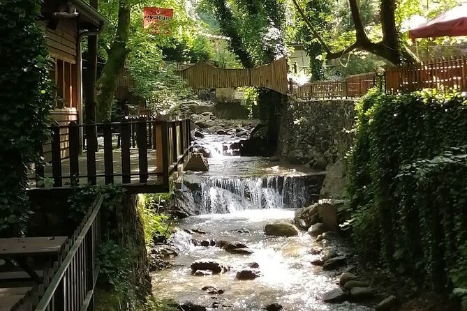 Sapanca Lake Tour with Lunch From Istanbul - Cable Car Time at Sapanca: Views You Can Actually See