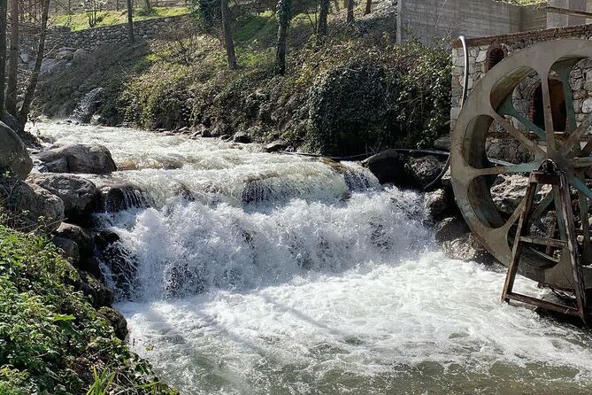 Sapanca Lake Tour with Lunch From Istanbul - Mahmudiye Lunch: Where You Get a Real Break