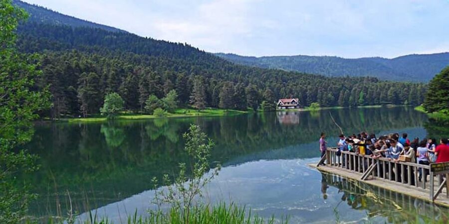 Sapanca & Masukiye Full-Day Tour with Lunch and Transfers - How the Day Runs: Pickup, Lake Time, and Village Market Strolls