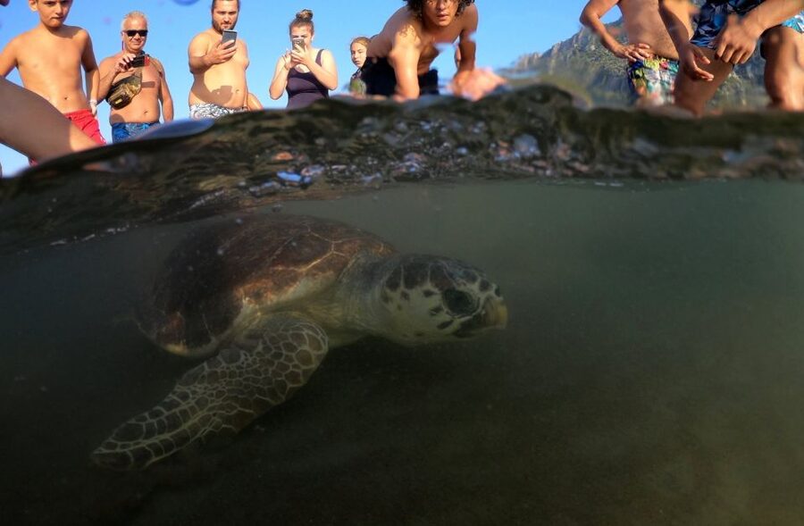 Sarigerme: Dalyan, Turtle Beach, Mud Bath, & King Tombs Tour - Why Dalyan-by-boat beats a rushed day of stops