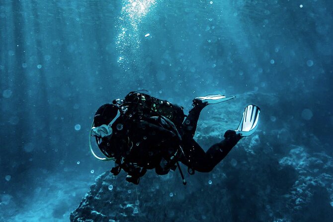 Scuba Diving Experience in Alanya With Lunch and 2 Dives - Key Things To Know Before You Go