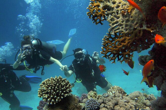 Scuba Diving Experience in Alanya With Lunch and 2 Dives - Hotel Pickup In Alanya: The Main Gate Rule