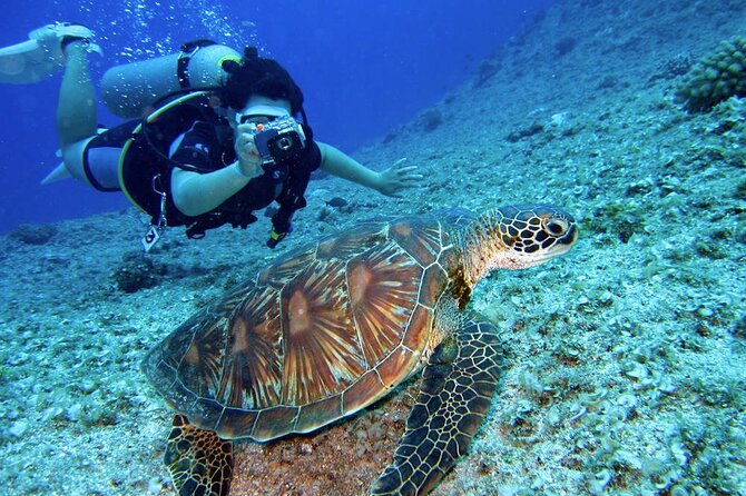 Scuba Diving Experience in Alanya With Lunch and 2 Dives - Stop 2 At The Second Underwater Spot: More Time To See Marine Life
