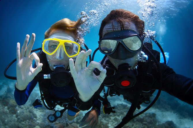 Scuba Diving Tour in Bodrum - First-Timers vs Certified Divers: Who This Tour Fits Best