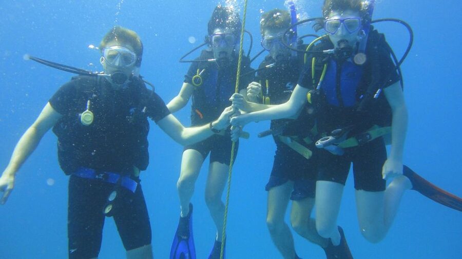 Scuba Diving Tour with Transfer From Alanya and city of Side - From pickup in Alanya and Side to getting on the water