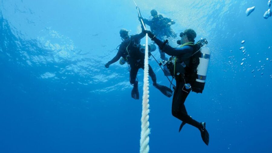 Scuba Diving Tour with Transfer From Alanya and city of Side - The fish-feeding moment, and the photo and video options