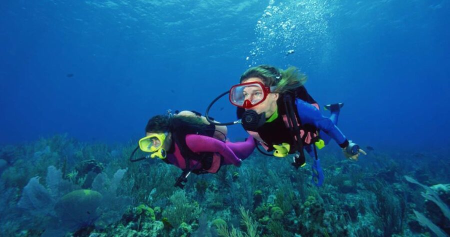 Scuba Diving Tour with Transfer From Alanya and city of Side - Equipment fit and comfort: the small things that change the experience