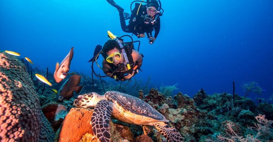 Scuba Diving Tour with Transfer From Alanya and city of Side - Two underwater sessions, not one, and why that’s a smart format