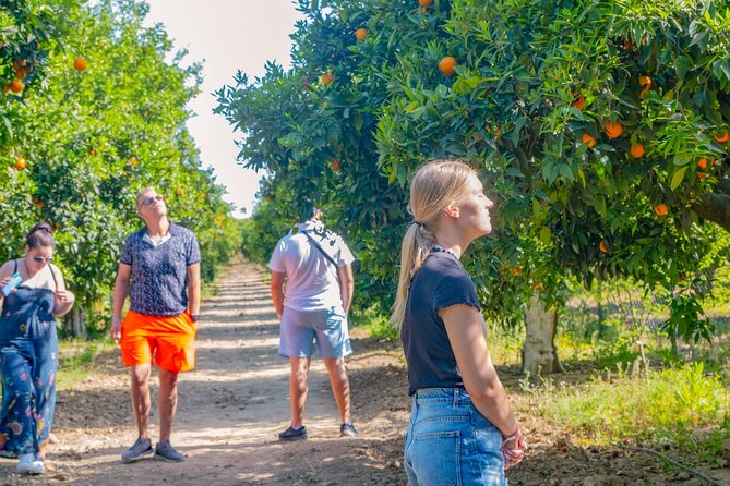 "Side: 5-in-1 Green Canyon, Waterfalls & Ancient Sites Tour" - The day plan: how the stops fit together