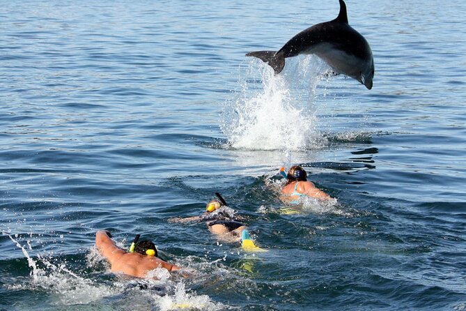 Side Dolphin Island Boat Trip With Lunch And Soft Drinks - Price and Value: What You Actually Get for $25
