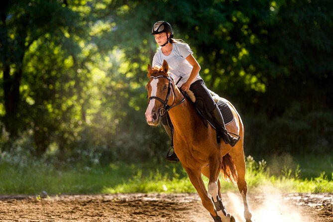 Side Horse Riding On Beach And Through The Forests For 2 Hours - Horses, Health, and What You Should Look For