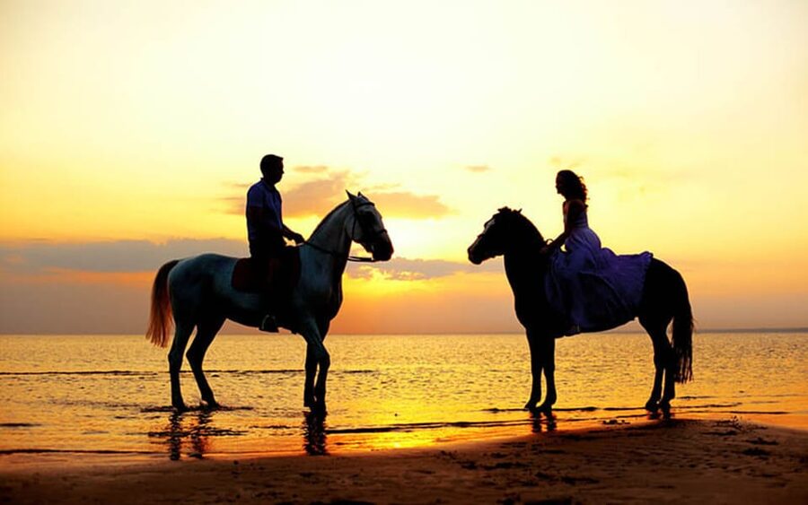 Side: Horseback Riding Tour in Nature - Key highlights worth planning for