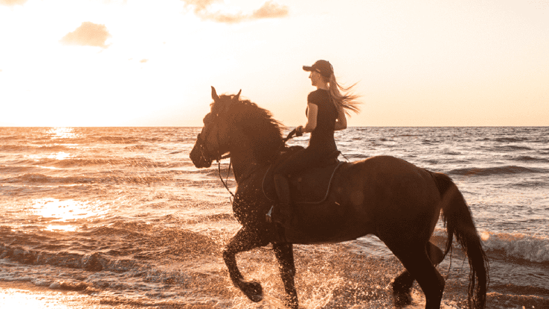 Side: Horseback Riding Tour in Nature - A 2-hour Side horseback ride with real beach time