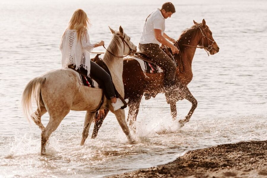 Side: Horseback Riding Tour in Nature - Price and value: why $58 can work, and when it won’t