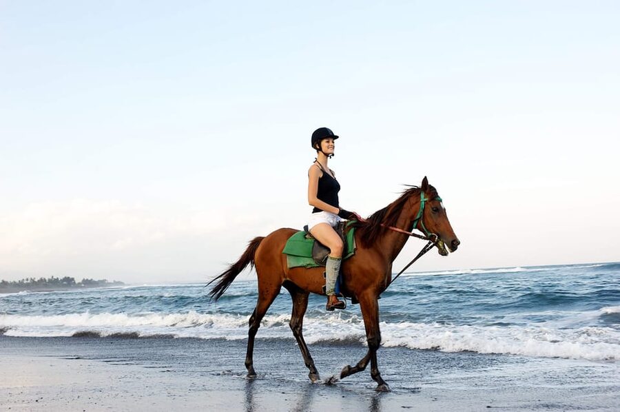 Side: Horseback Riding Tour in Nature - Who this Side horseback ride suits best