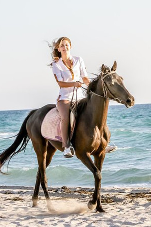 Side: Horseback Riding Tour in Nature - Animal welfare and transport: do a quick check before you commit