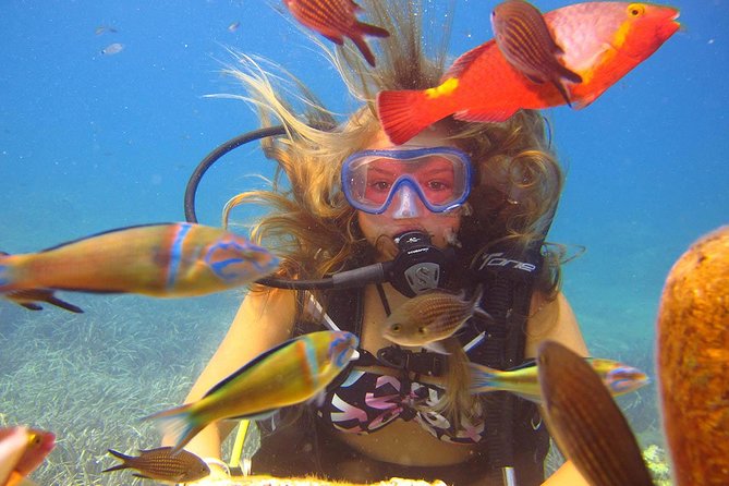 Side: Scuba Diving Under Water Museum - Underwater Museum off Side: what makes it different