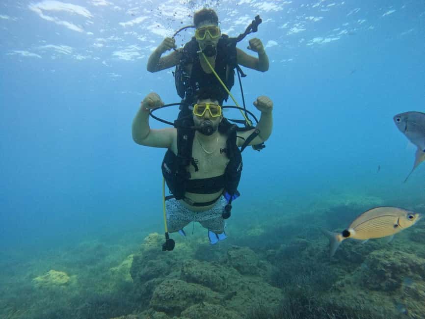Side: Scuba Diving & Under Water Museum with Hotel Transfer - What This Tour Includes, and What It Does Not