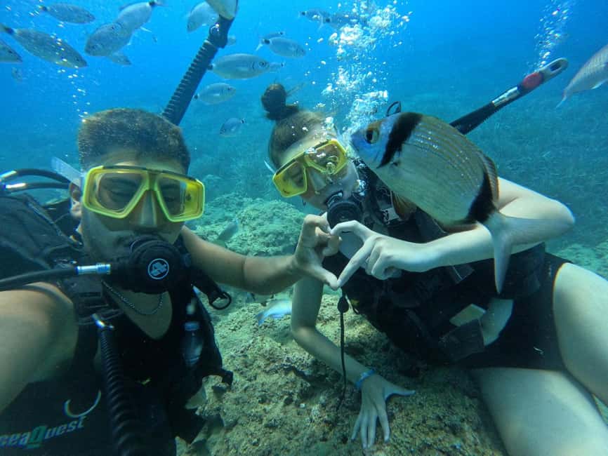 Side: Scuba Diving & Under Water Museum with Hotel Transfer - The Rules and Packing List That Make the Day Go Smoothly