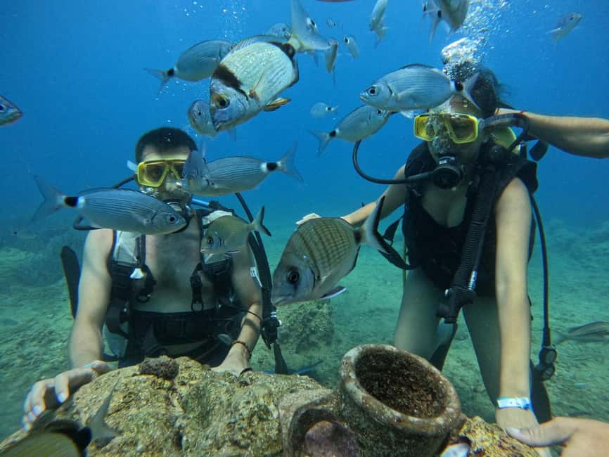 Side: Scuba Diving & Under Water Museum with Hotel Transfer - Timing, Drop-Offs, and the Real Logistics You’ll Care About