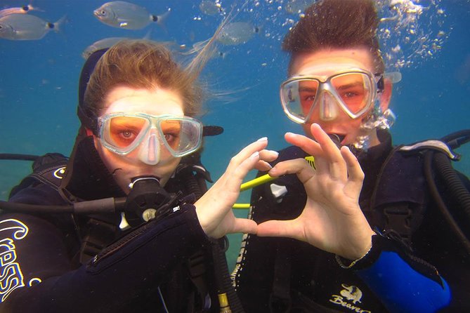 Side: Scuba Diving Under Water Museum - The day’s flow: from 8:30 am start to two underwater sessions
