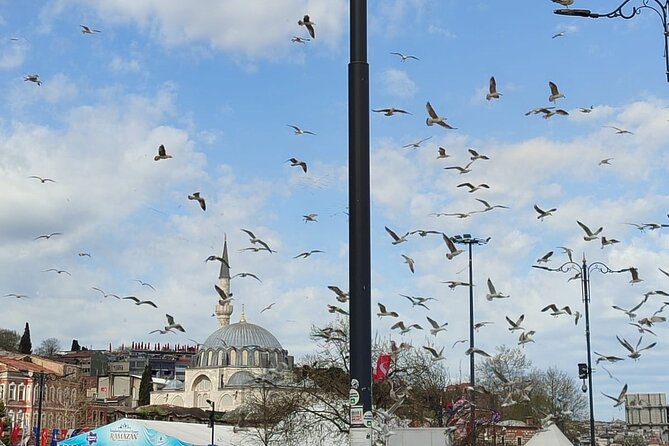 Skip Lines with Local Tour Guide Taha - Topkapı Palace and Harem: Ottoman Power and the Cost Factor
