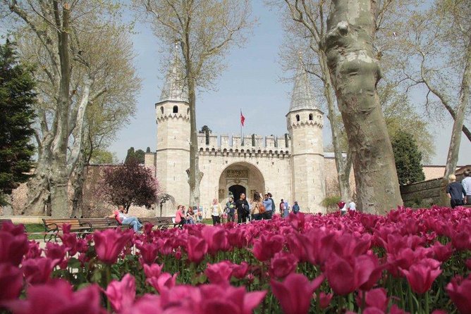 Small Group Full-Day Istanbul Old City Tour with Lunch & Tickets - Hippodrome Square: the quick stop with big artifacts