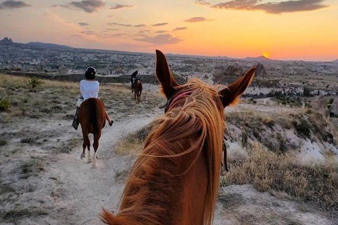 Sunset Horsebackriding-Tour through the Valleys of Cappadocia - Horses, Care, and How to Judge the Handling Style
