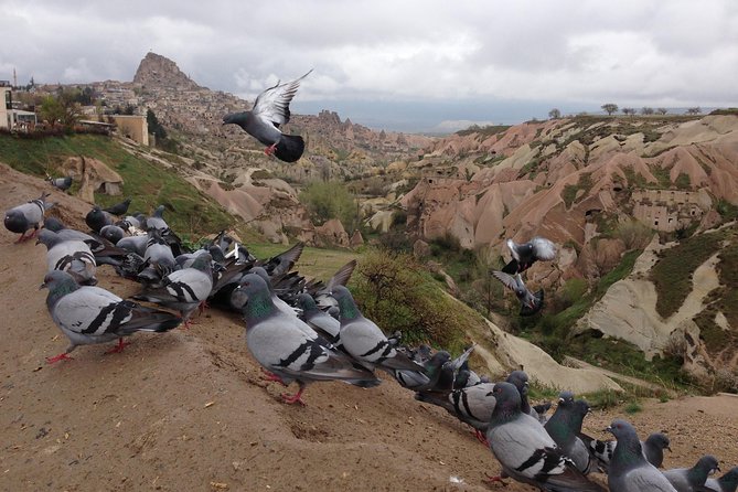 Tour of Highlights of Cappadocia with Lunch - Avanos Pottery at Sultans Seramik: Kick-Wheel Craft in Action