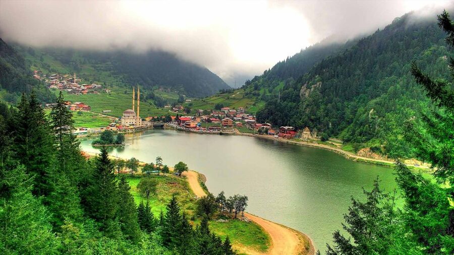 Trabzon: Uzungöl Group Tour, Explore The Nature & Taste Tea - Comfort, weather, and how smooth the day feels in practice