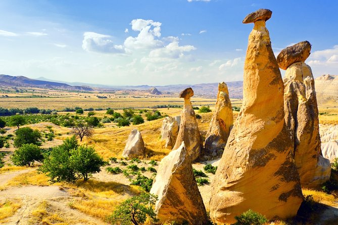 Turkey Flyer 8-Day: Istanbul, Pamukkale, Cappadocia, Ephesus - Day 1 in Istanbul: welcome and a free first day