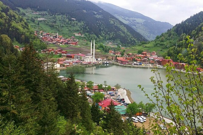 Uzungol Tour: Full-Day Nature Adventure with Tea Factory Visit - Comfort on the Road: Why the Group Size Matters