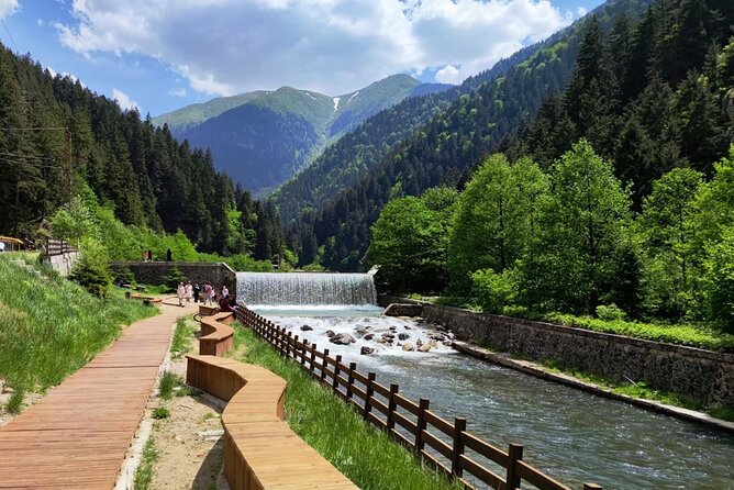 Uzungol Tour: Full-Day Nature Adventure with Tea Factory Visit - Guide and Driver Vibe: What to Expect From the Human Side