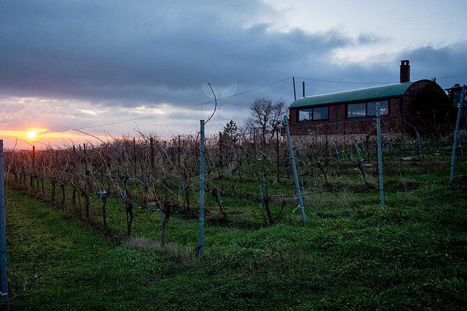 VIP Full Day Wineries Tour from Istanbul - Guides Matter More Than You Think, and Here They Do