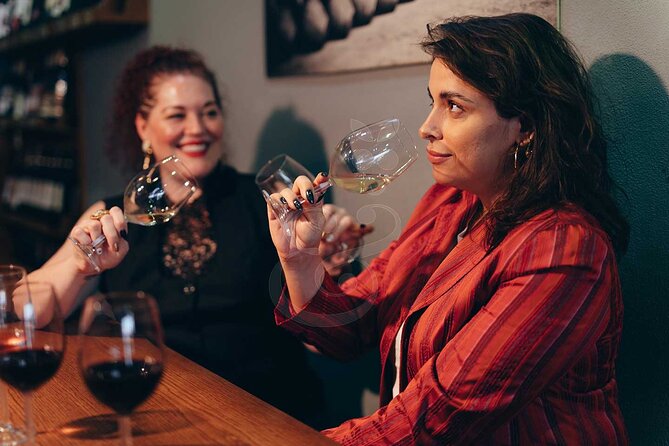 VIP Full Day Wineries Tour from Istanbul - Private Car Comfort, Group Size, and the Whole VIP Setup